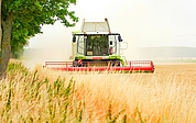 Vor allem ab dem 20. Juni gab es trockene Phasen, die den Landwirten im Kreis Pinneberg gute Erntemöglichkeiten bescherten. Das Einbringen vieler weiterer Feldfrüchte steht in den nächsten Wochen bevor. (Foto: pixabay)