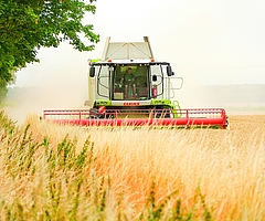 Vor allem ab dem 20. Juni gab es trockene Phasen, die den Landwirten im Kreis Pinneberg gute Erntemöglichkeiten bescherten. Das Einbringen vieler weiterer Feldfrüchte steht in den nächsten Wochen bevor. (Foto: pixabay)