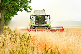 Vor allem ab dem 20. Juni gab es trockene Phasen, die den Landwirten im Kreis Pinneberg gute Erntemöglichkeiten bescherten. Das Einbringen vieler weiterer Feldfrüchte steht in den nächsten Wochen bevor. (Foto: pixabay)