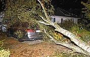 In Elmshorn kippte in der Nacht zu Sonntag ein Baum auf ein Auto, das auf einer Auffahrt in der Straße Eiskeller geparkt war. (Foto: Florian Sprenger)