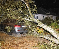 In Elmshorn kippte in der Nacht zu Sonntag ein Baum auf ein Auto, das auf einer Auffahrt in der Straße Eiskeller geparkt war. (Foto: Florian Sprenger)