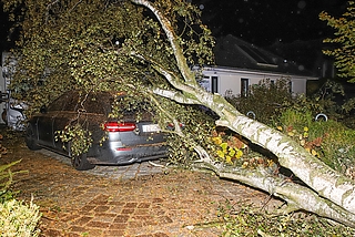 In Elmshorn kippte in der Nacht zu Sonntag ein Baum auf ein Auto, das auf einer Auffahrt in der Straße Eiskeller geparkt war. (Foto: Florian Sprenger)