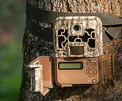 Ein Mann soll eine Wildkamera gestohlen haben, die ihn dabei fotografierte. (Symbolfoto: Pixabay)