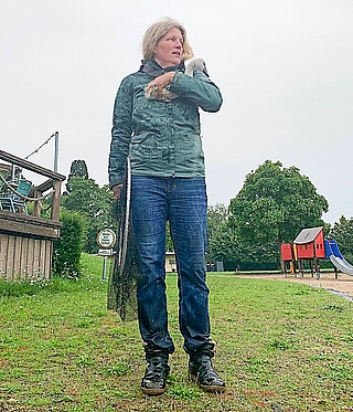 Katharina Erdmann nimmt das Schwanenküken am Strand des Rantzauer Sees in ihre Obhut. (Foto: Erdmann / Wildtier- und Artenschutzzentrum)