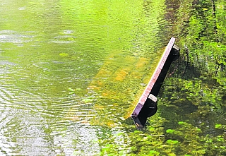Die Sitzfläche einer Bank im Liether Stadtwald steht unter Wasser. Der Rundweg am See ist überflutet. (Foto: Frank)