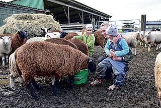 Sandra Schüder versorgt Schafe. Ihre Kinder Hinrich und Hilde begleiten sie dabei zu gern. (Foto: Jan-Hendrik Frank)