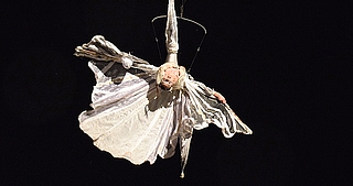 Zauberhaft: Ein Engel schwebt über Elmshorn. (Foto: Frank)