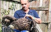 Christian Erdmann mit dem aufgepäppelten jungen Seeadler, dessen Standort mit Hilfe eines Senders verfolgt wird. (Foto: Wildtierstation Sparrieshoop)