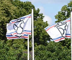 Der Holsteiner Verband will eine Präsentation von Privathengsten 2024 wieder ermöglichen. (Foto: Holsteiner Verband)