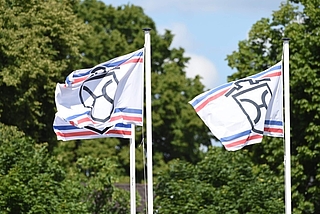 Der Holsteiner Verband will eine Präsentation von Privathengsten 2024 wieder ermöglichen. (Foto: Holsteiner Verband)