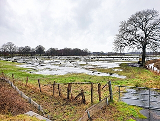 Überschwemmte Wiesen – derzeit ein häufiger Anblick im Verbreitungsgebiet unserer Zeitung. (Foto: Strandmann)