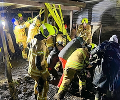 Aller Einsatz war am Ende vergebens: Das eingesunkene Pferd war so geschwächt, dass es trotz Hilfe nicht mehr auf die Beine kam und eingeschläfert werden musste. (Foto: Feuerwehr Halstenbek)
