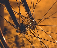 Der Täter fuhr am Abend rasant mit einem Lieferfahrrad durch den Steindammpark. (Symbolfoto: Pixabay)