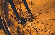 Der Täter fuhr am Abend rasant mit einem Lieferfahrrad durch den Steindammpark. (Symbolfoto: Pixabay)