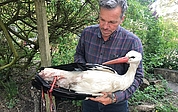 Christian Erdmann, Leiter des Wildtier- und Artenschutzzentrums, hält einen toten Storch auf den Armen. Das Tier sieht lebendig aus, da Erdmann es zum Zweck der Beweissicherung einfrieren ließ. (Foto: Wildtier- und Artenschutzzentrum)