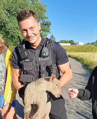 Ein Polizeibeamter zog sich Handschuhe über und brachte das Lämmchen in Sicherheit. (Foto: Polizeidirektion Bad Segeberg)