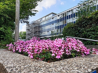 Private Unternehmen haben aufgrund steuerlicher Abschreibungsmöglichkeiten bessere finanzielle Möglichkeiten als die Stadt, ein denkmalgeschütztes Gebäude wie das Rathaus für eine Nachnutzung fit zu machen. Doch die Zeit, geeignete Konzepte und Investoren zu finden, drängt. (Foto: Strandmann/Archiv)