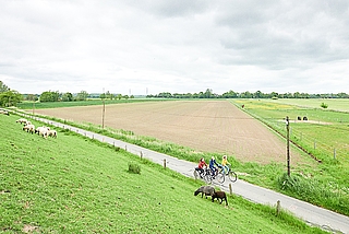 Radler nehmen ihre Heimat anders und intensiver als Autofahrer wahr. (Foto: GDM, Kratz)