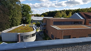 Die Pinneberger Kreisverwaltung begrünt zum Teil ihre eigenen Dächer. (Foto: Kreis Pinneberg)