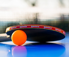 Sonntag gibt es in der Sparrieshooper Sporthalle Tischtennis vom Feinsten zu sehen. (Foto: pixabay)