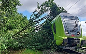 Der Baum fiel in die 15.000 Volt-Oberleitung. (Foto: Bundespolizei)