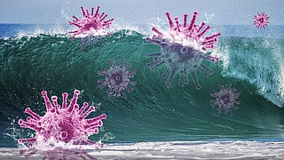 Die Barmer rechnet mit einer Scharlach-Welle bei Schulkindern. (Symbolfoto: Pixabay)