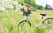 Die 7. Fahrradrallye führt durch die Natur rund um Barmstedt. (Symbolfoto: Pixabay)