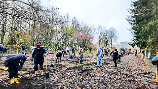 Auf Initiative des Vereins Citizens Forests pflanzten Freiwillige im Kreis Pinneberg bereits mehrere Bürgerwälder. (Foto: Citizens Forests)