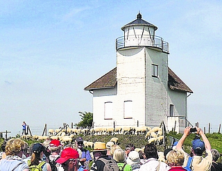 Der Juelssand diente 110 Jahre als Leuchtfeuer. (Foto: Heim)
