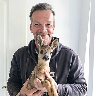 Ein verwaistes Rehkitz ist der Neuzugang im Wildtierzentrum in Sparrieshoop. (Foto:Erdmann)