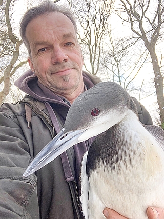 Christian Erdmann, Leiter der Wildtierstation in Klein Offenseth-Sparrieshoop, rettete diesen Prachttaucher. (Foto: Erdmann)