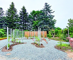 Die neue Anlage zur Bauwerksbegrünung im Arboretum Ellerhoop befindet sich derzeit in den Abschlussarbeiten. Die Eröffnung findet am 29. Juli statt. (Foto: Arboretum Ellerhoop)