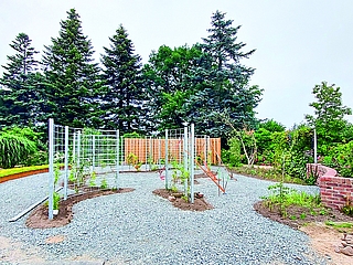 Die neue Anlage zur Bauwerksbegrünung im Arboretum Ellerhoop befindet sich derzeit in den Abschlussarbeiten. Die Eröffnung findet am 29. Juli statt. (Foto: Arboretum Ellerhoop)