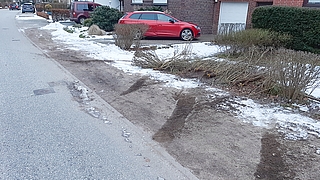 Der unbekannte Täter fuhr durch die Hecke und prallte gegen den roten Seat. Die Polizei schätzt den Sachschaden auf 8000 Euro am Auto und 200 Euro an der Hecke. (Foto: Deiters)