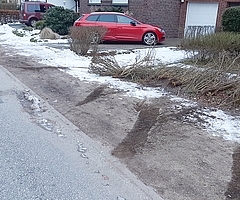 Der unbekannte Täter fuhr durch die Hecke und prallte gegen den roten Seat. Die Polizei schätzt den Sachschaden auf 8000 Euro am Auto und 200 Euro an der Hecke. (Foto: Deiters)