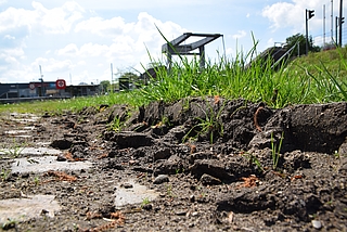Diese Abkürzung für Radfahrer sieht nicht nur verboten aus, sie ist es auch. Der Weg in Sichtweite der Käpten-Jürs-Brücke ist nicht öffentlich. (Foto: Frank)