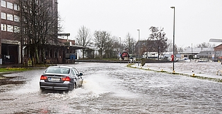  Der Elmshorner Hafen stand im Februar 2022 unter Wasser. (Foto: Frank)