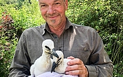 Im Wildtierzentrum in Sparrieshoop ziehen Stationsleiter Christian Erdmann und sein Team zwei aus dem Nest geworfene Storchenküken auf. (Foto: Wildtierzentrum Sparrieshoop)