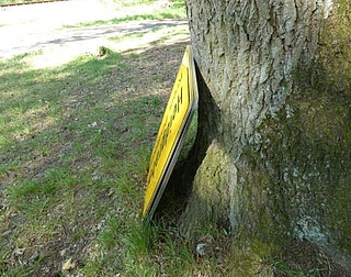 Die Ortstafeln lehnten an einem Baum. (Foto:  Polizeidirektion Bad Segeberg)