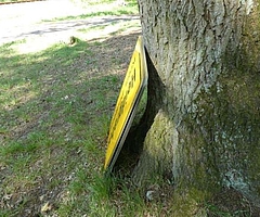 Die Ortstafeln lehnten an einem Baum. (Foto:  Polizeidirektion Bad Segeberg)