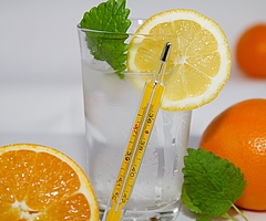 Wer krank ist, soll sich nicht zur Arbeit schleppen, sondern sich auskurieren, rät die Gewerkschaft Nahrung-Genuss-Gaststätten. (Symbolfoto: Pixabay)