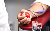 Wer hilft seinen Mitmenschen mit einer Blutspende? (Foto: Michelle Gordon/Pixabay)
