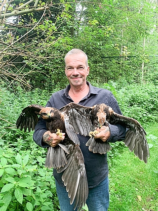 Tragische Rettung: Christian Erdmann, Leiter des Artenschutzzentrums in Klein Offenseth-Sparrieshoop mit den beiden überlebenden Rohrweihen auf dem Arm. (Foto: Wildtier- und Artenschutzzentrum)