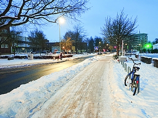 Der Probstendamm in Elmshorn ist fast menschenleer. (Foto: Strandmann)