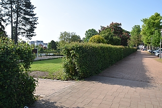 Wer hat den Raub im Rosarium beobachtet? (Archiv: Frank)