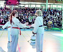 Sportanlagen zu unterhalten, kostet mehr Geld als vor Corona. Die Elmshorner SPD beantragt, die Stadt solle Vereine mit eigenen Räumen und Plätzen dabei stärker unterstützen. (Foto: Strandmann/Archiv)