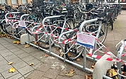 Dieser Fahrradständer ist gesperrt, die Bürger nutzen ihn aber trotz Verbotsschildern. (Foto: Schröckert)