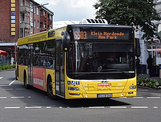 Die Linienbusse der KViP fahren. (Archiv: Frank)