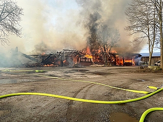 Zusammen mit der Heuscheune brannten auch Futtergetreide, Saatgut, Maschinen und ein Verbindungsbau zu einem Kuhstall ab. Etwa 80 Tiere wurden aber gerettet. (Foto: Kreisfeuerwehrverband Steinburg)