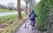 Der Landesbetrieb Straßenbau und Verkehr hat verboten, dass Radfahrende den Gehweg an der Rosenstraße nutzen. Wegen Schäden sollen sie auf die Straße ausweichen. (Foto: Sören Hamann)